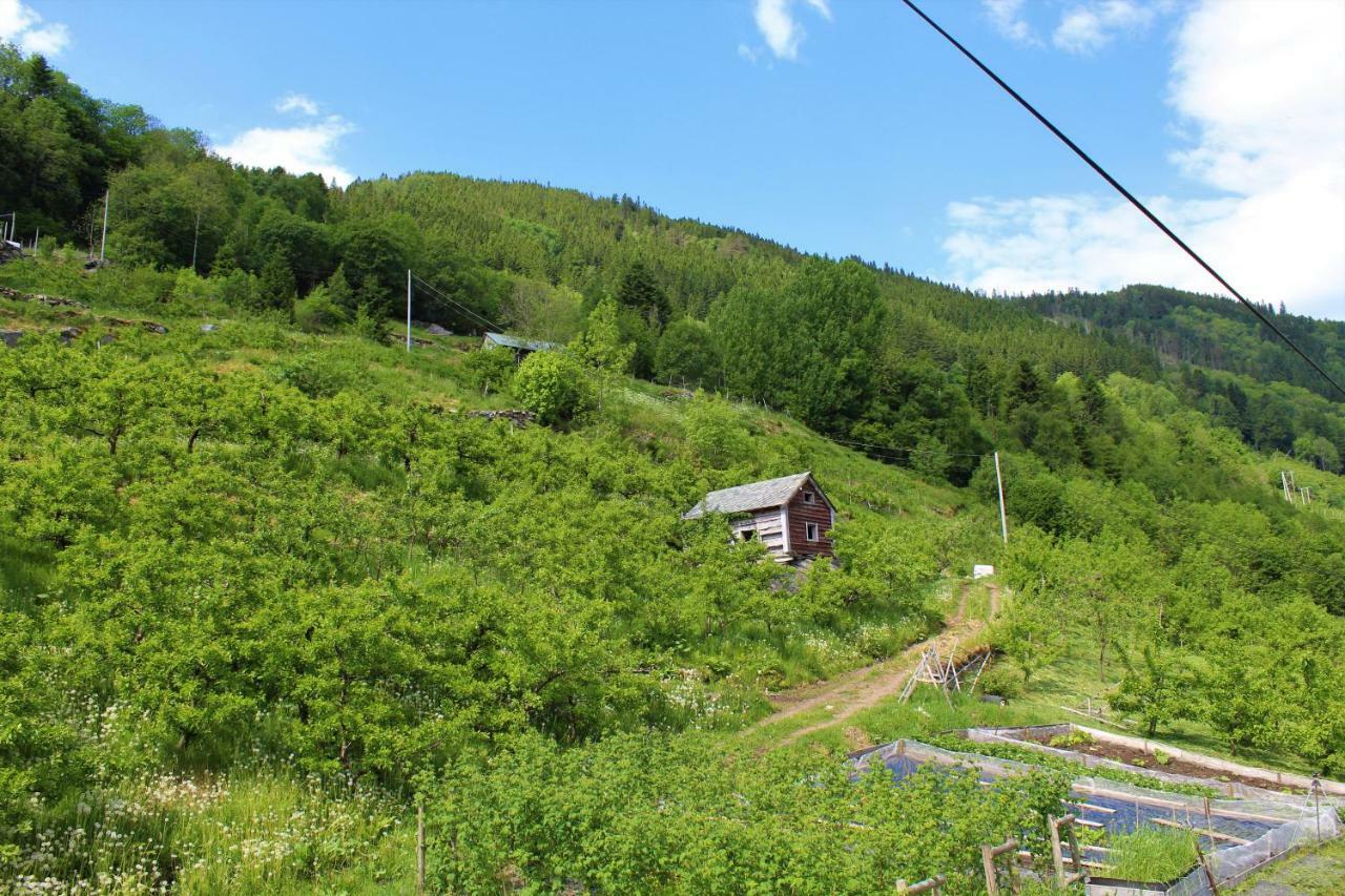 Fjord House Villa Grimo Buitenkant foto