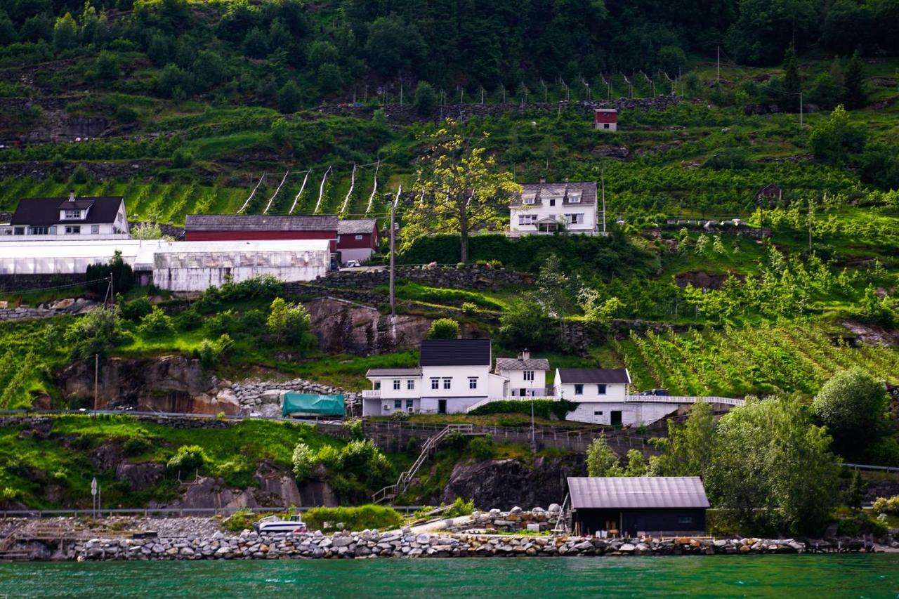 Fjord House Villa Grimo Buitenkant foto